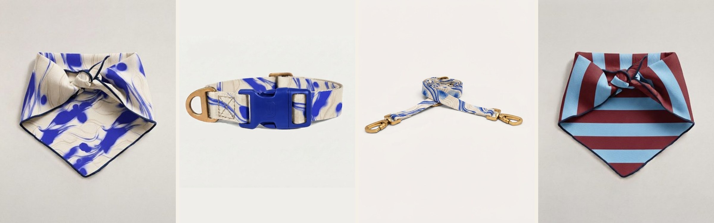 Blue foulard, blue collar, blue leash and stripe foulard