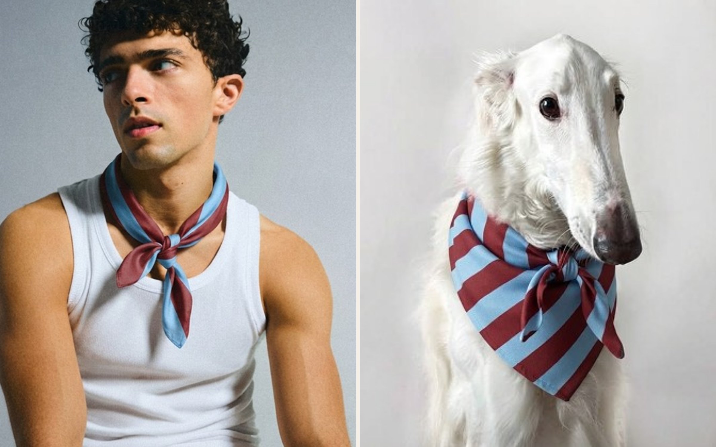 A man and a borzoi each wearing the stripe foulard